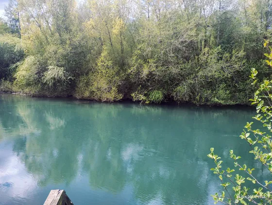 Venta Parcela 5200mts Valdivia