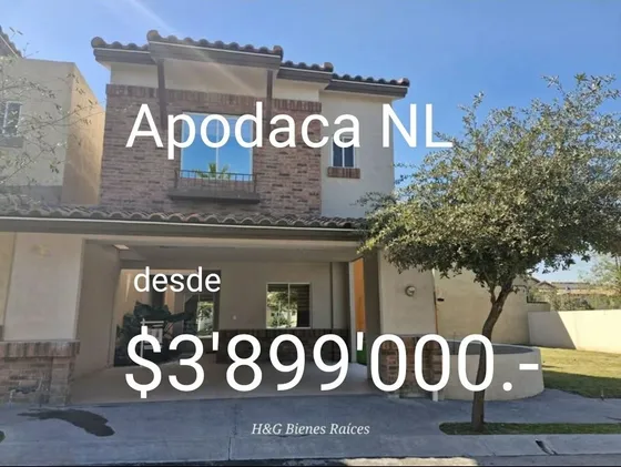Littel Texas En Apodaca Nl.