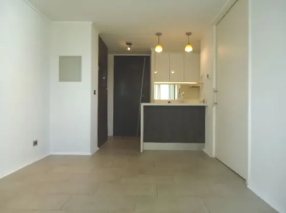 Departamento En Venta En Providencia