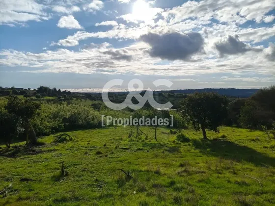 1/2 Há En Valle Alegre Con Maravillosa Vegetación