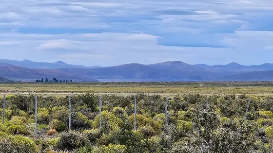Excelente Campo Productivo - Gobernador Costa - Chubut