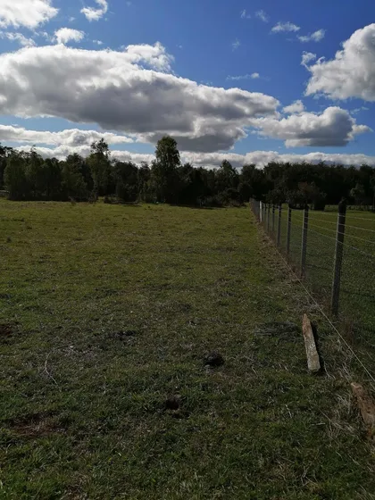 Parcela Colegual Esperanza A 30 Minutos De Pto Varas