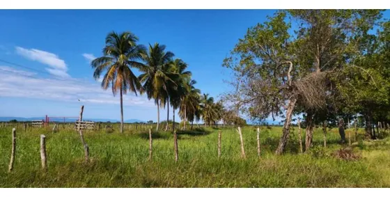 Finca Con Posada En Boca De Aroa