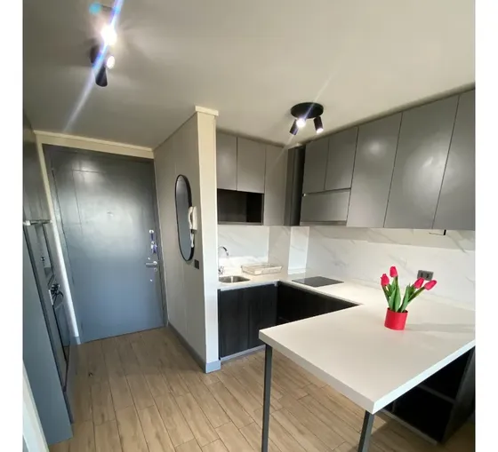 Depto Amoblado Ñuñoa/ac/acceso Intelig/1d+1b+1e/pet Friendly