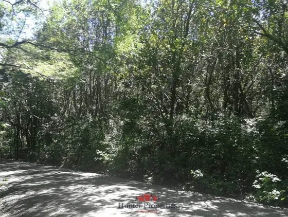 Parcela 1 Hectárea 1/2 En Venta Quetroleufu, Pucón