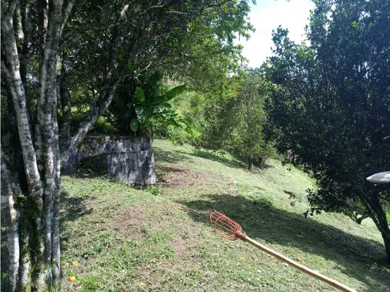 Venta De Lote En La Cabaña