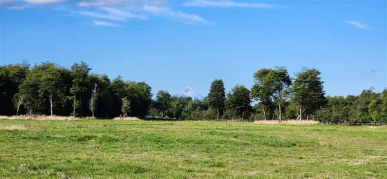 Terreno En Venta En Puerto Varas