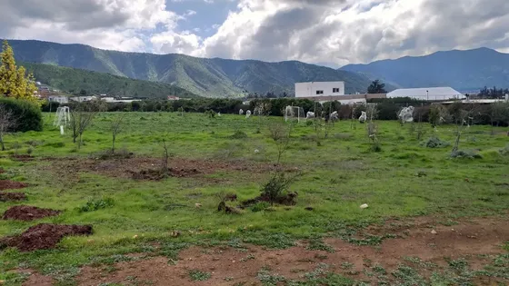 Parcela 5.000 M² En Padre Hurtado Terreno Consolidado