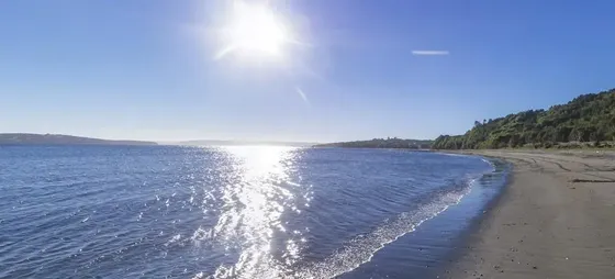 Parcela En Venta En Isla Laitec /punta White, Quellón