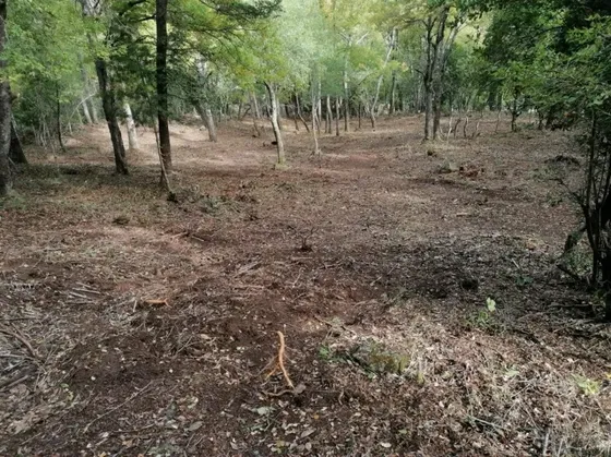 Terreno En Las Trancas A Minutos De Centro De Ski