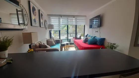 Arriendo Departamento En Viña, Amoblado