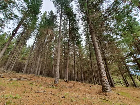 Agricola, Forestal Con Aguas Inscritas