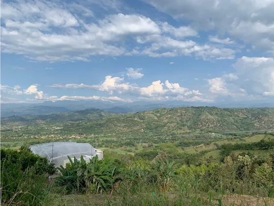 Venta De Lote Vía Santágueda Palestina | Lote En Venta