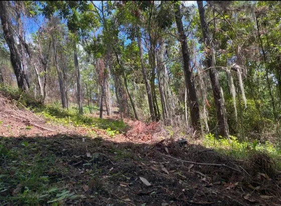 Vendo Finca 151 Tareas Los Montones Abajo, Sajoma Santiago