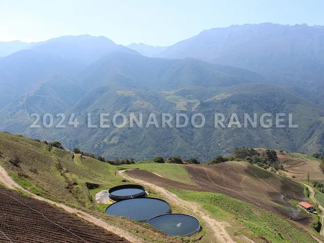 Se Vende Productiva Finca De 81 Hectáreas En Cacute Estado Mérida.