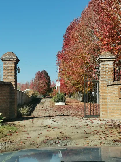 Paraiso De Canteria, Camino A Termas, Maravillosa Parcela