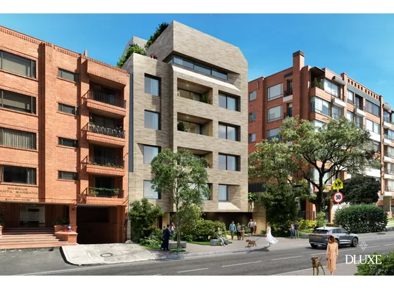 Venta, Proyecto Pictor - Santa Barbara