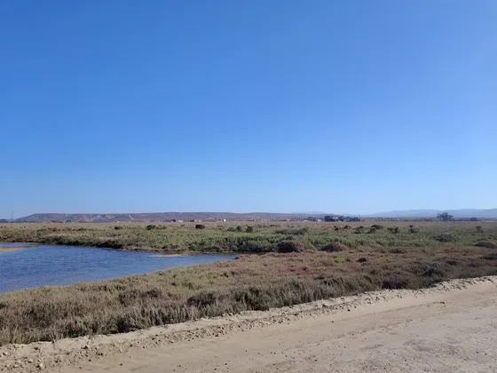 Parcela En Venta Playa Grande Tongoy En Coquimbo