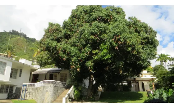 Se Vende Casa 695m2 Alta Florida 2207