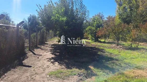 Agrícola En Venta En Rengo