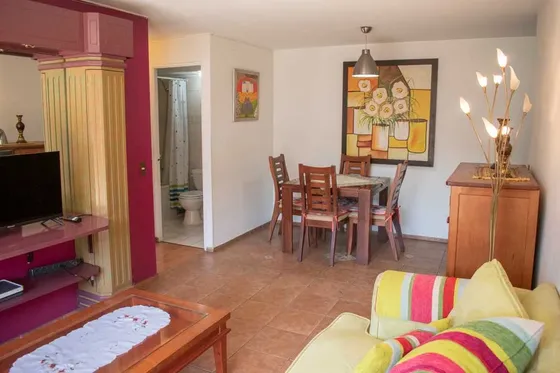 Arriendo Amplio Depto Amoblado 2 D + 2 B - Santiago (5148)