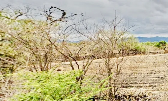 Terreno Para Centro De Distribución De Cualquier Tipo