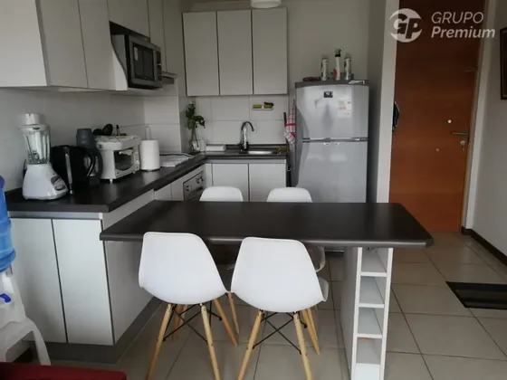 Arriendo Marzo A Diciembre 2026 Av Pacifico 4115