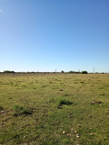 Campito En Venta 