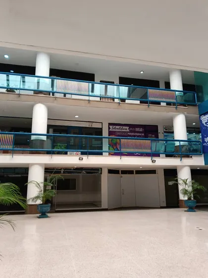 Centro Comercial Viñedo Plaza En Venta (sc)