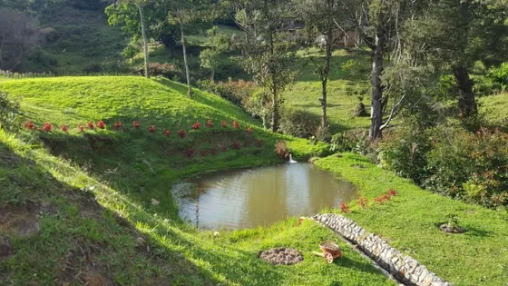 Vendo Lote Condominio Campestres Terrasanta Guarne A 15 Minutos Aeropuerto