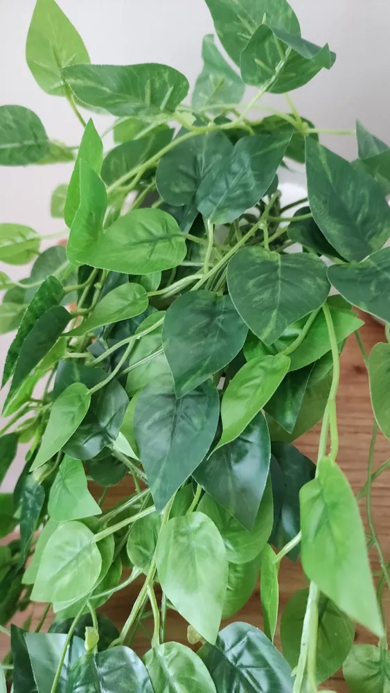 2 Pendentes De Jiboia Artificial Jardim Vertical Folhagem Verde - Imagem 2