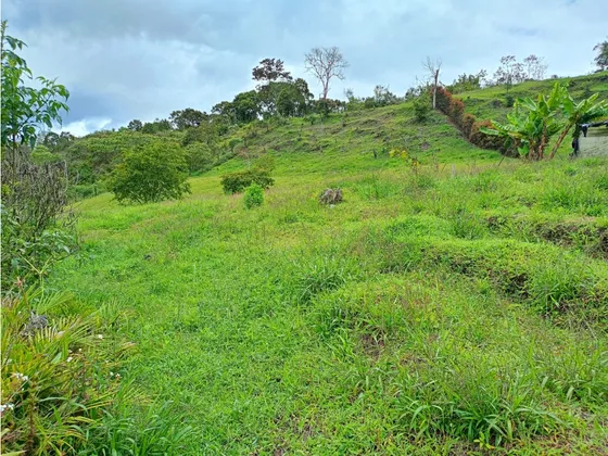 Lote En Venta, Sector San Antonio La Ceja, El Carmen 