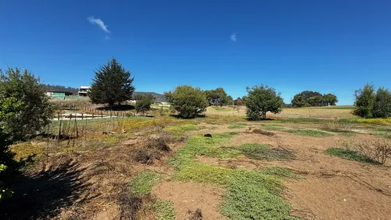 Interesante Terreno En Marbella