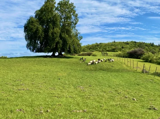 Terreno A Los Pies De La Carretera