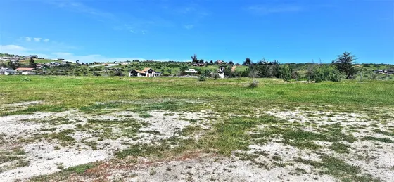 Venta De Sitio Plano, Agrícola, De 5.000 M2., En Tabolango,