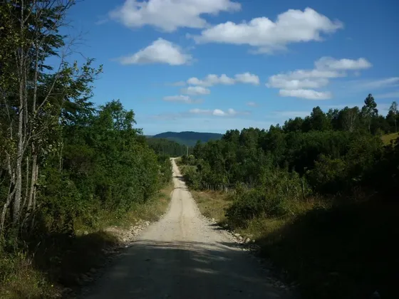 Propiedad Con Bosque Nativo 120 Ha, Purranque