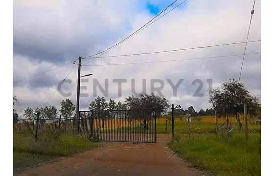 Vendo Parcela En San Nicolas Region Del Ñuble