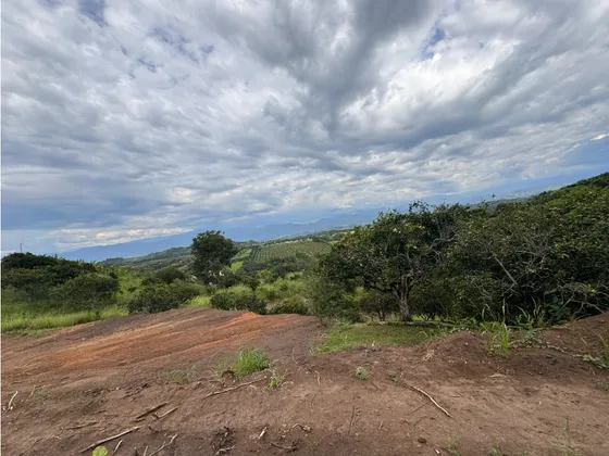 Venta De Lote En Cambia - Las Margaritas
