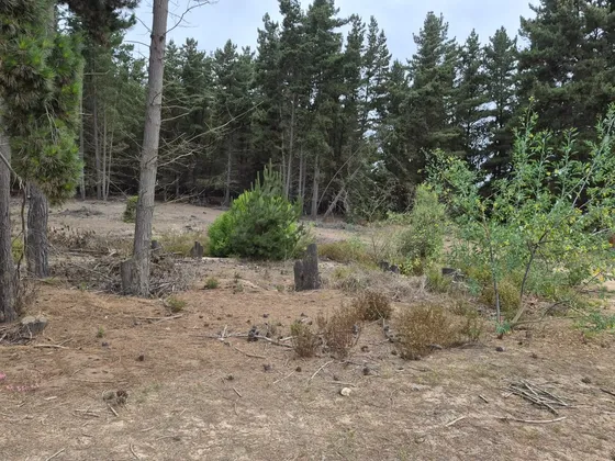 Terreno En Venta En Los Pinos Con Rol Propio