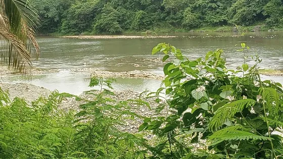 En Venta Finca  Con Río, Ecoturismo, San Cristóbal