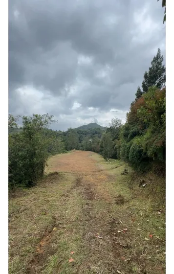 Venta Lote La Fé - Don Diego El Retiro 11.646 Mts2