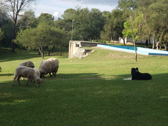 Campo Venta Falta Del Carmen  Sobre Ruta E96 30 Has. Con Arroyo Propio. Esritura Y Posesion  Ya!
