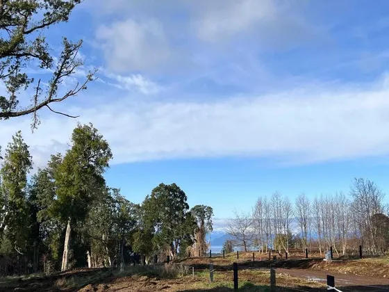 Maravillosa Parcela En Frutillar Bajo (113127)