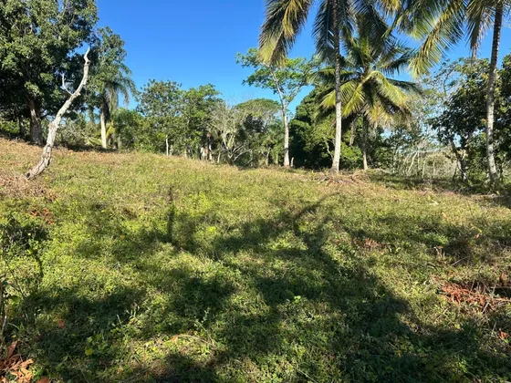 Finca En Monte Plata 