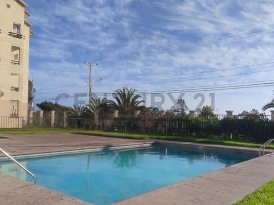 Vende Departamento Barrio Universitario, Ulriksen En La S...