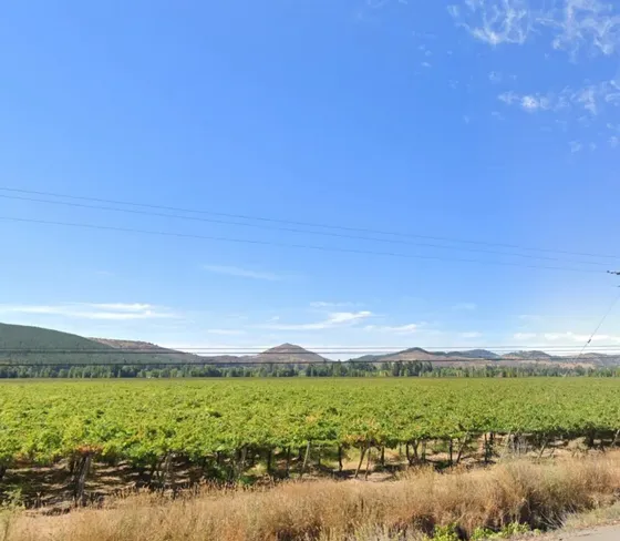Venta De Campo Agrícola En Perquenco Id 85.344-cam