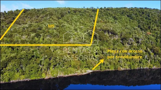 Sup. 4,78ha. Lago Huillinco - Reserva Martin Pescador Chiloe