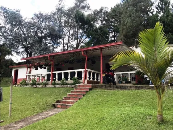 Finca En Venta En San Vicente - San Vicente De Ferrer