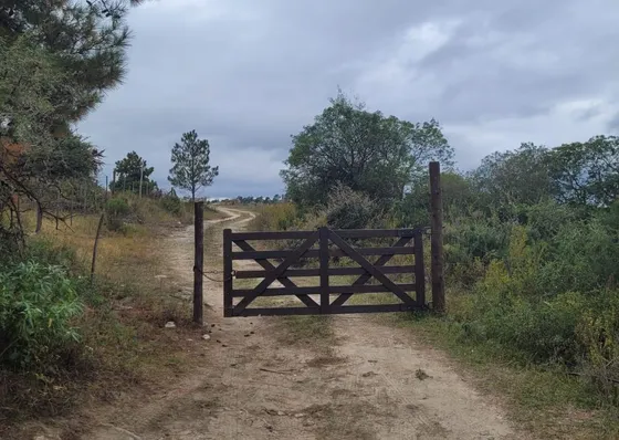 Terreno San Clemente Con Servicios Venta