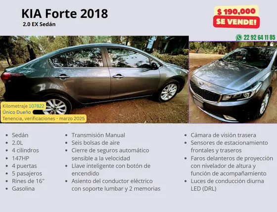 Kia Forte 2.0 Ex Mt